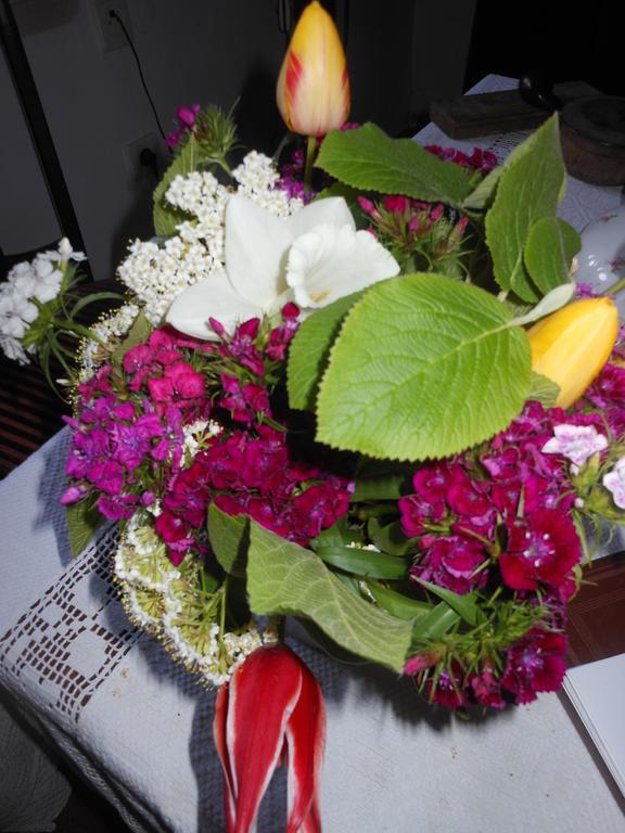 Fonagy Es Walter Vendeg- Es Borhaz Bed & Breakfast Vac Phòng bức ảnh